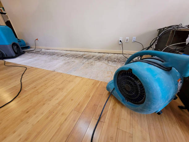Professional Structural Drying technician working in Macksburg, OH